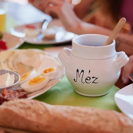 Borbala Vendeghaz Pensionat