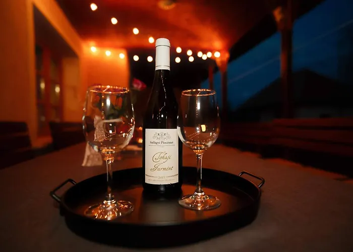 Borbala Vendeghaz 3* Fuzer